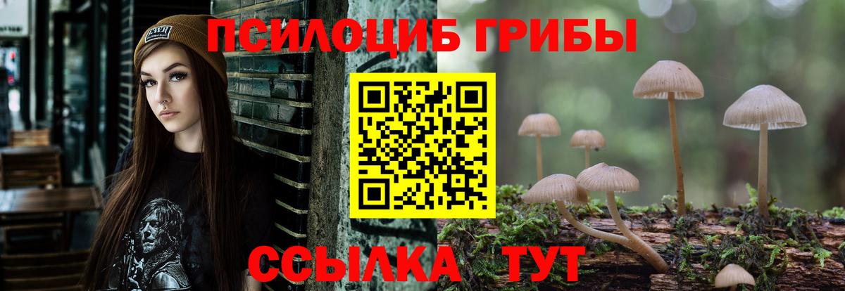 Псилоцибиновые грибы GOLDEN TEACHER Торжок