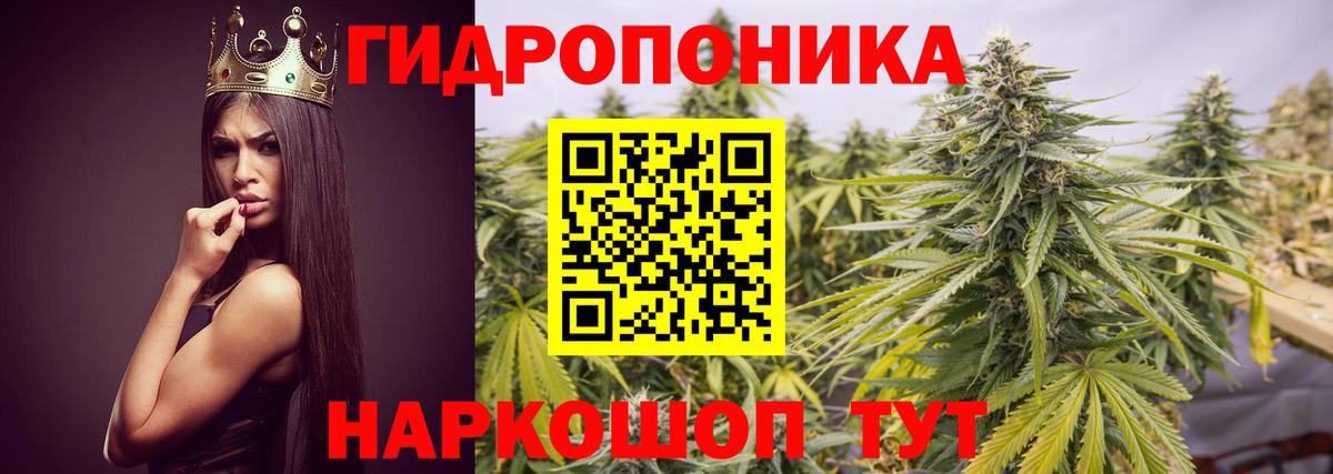 Конопля VHQ  Бошки Шишки индика  Вход с VPN  Торжок  Бошки Шишки AK-47 